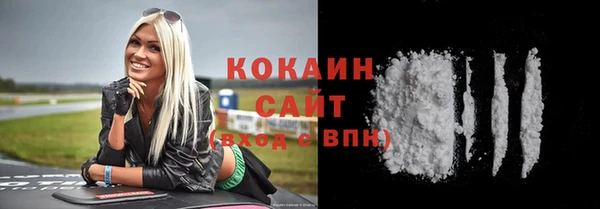 шишки Алексин