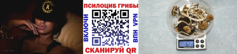 Галлюциногенные грибы GOLDEN TEACHER  Алупка 